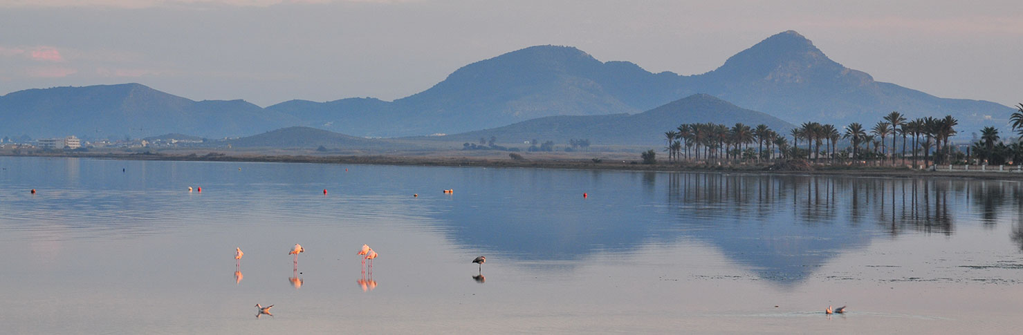 ESPACIOS ABIERTOS E ISLAS DEL MAR MENOR