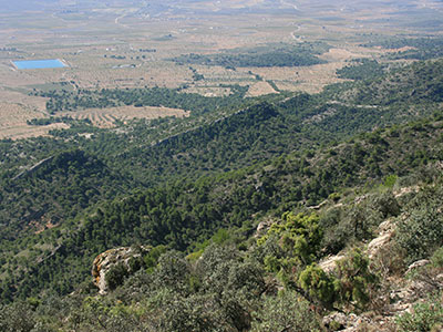 SIERRA DE SALINAS