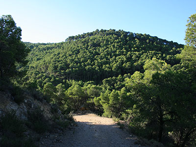 SIERRA DE SALINAS