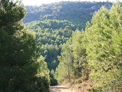 SIERRA DE SALINAS