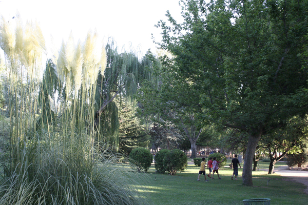 JARDN BOTNICO DE LA ESTACADA