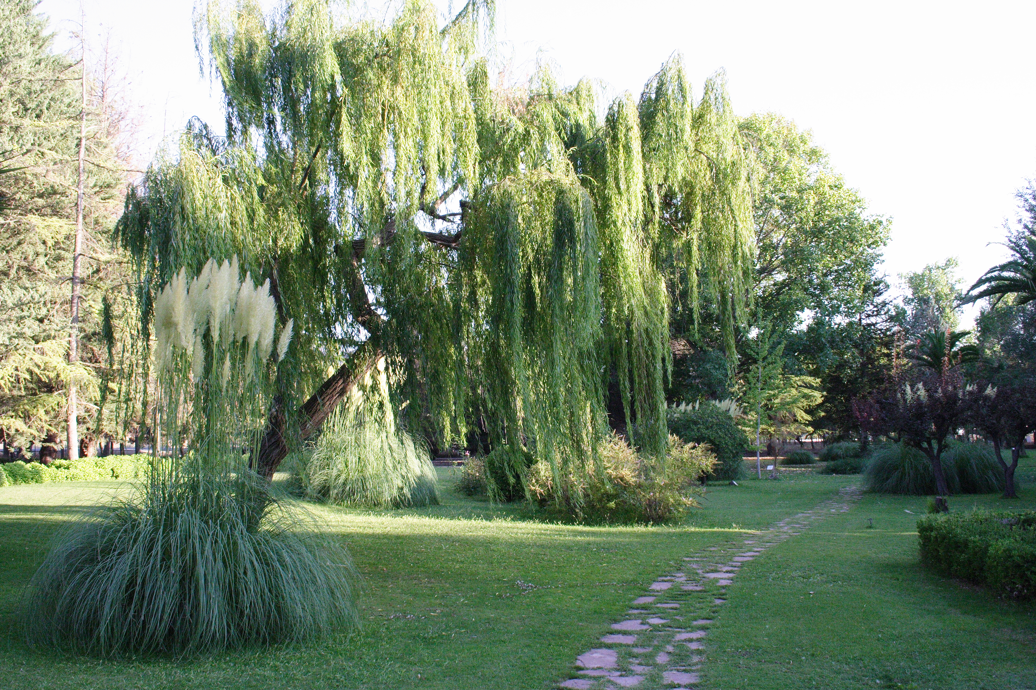 JARDN BOTNICO DE LA ESTACADA