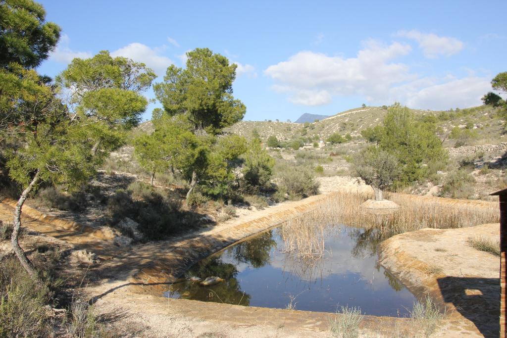 PARQUE ECOLGICO VICENTE BLANES