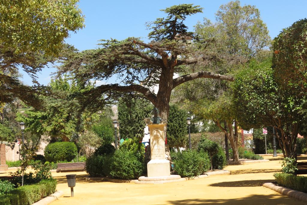 PARQUE MUNICIPAL DE LA CONSTITUCIN