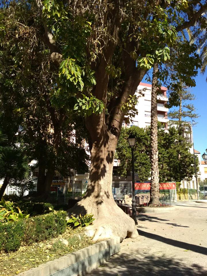 LA MERCED SQUARE