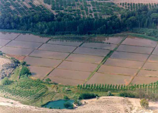 MIRADOR DE LAS LOMAS