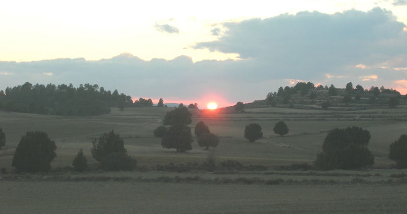 BOSQUE DE SABINA ALBAR