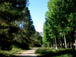 EMBALSE DEL CENAJO