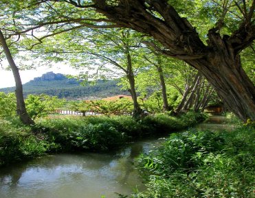 ACEQUIA LA ANDELMA