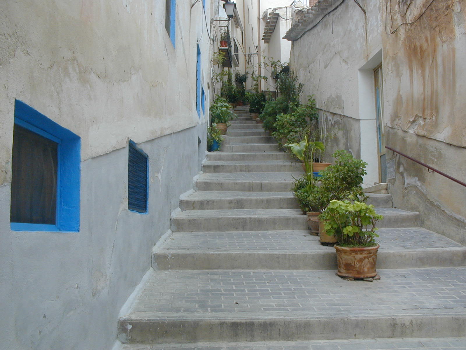 CALLEJN DE LA FLORES