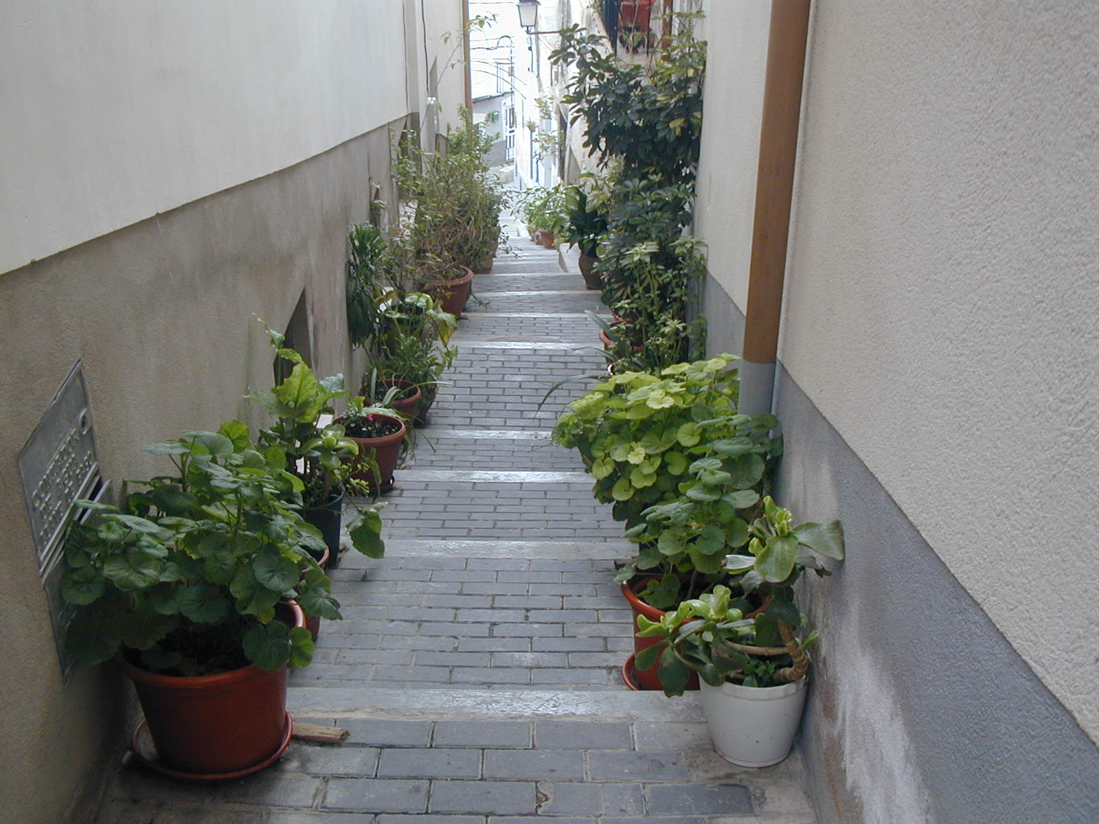 CALLEJN DE LA FLORES 2