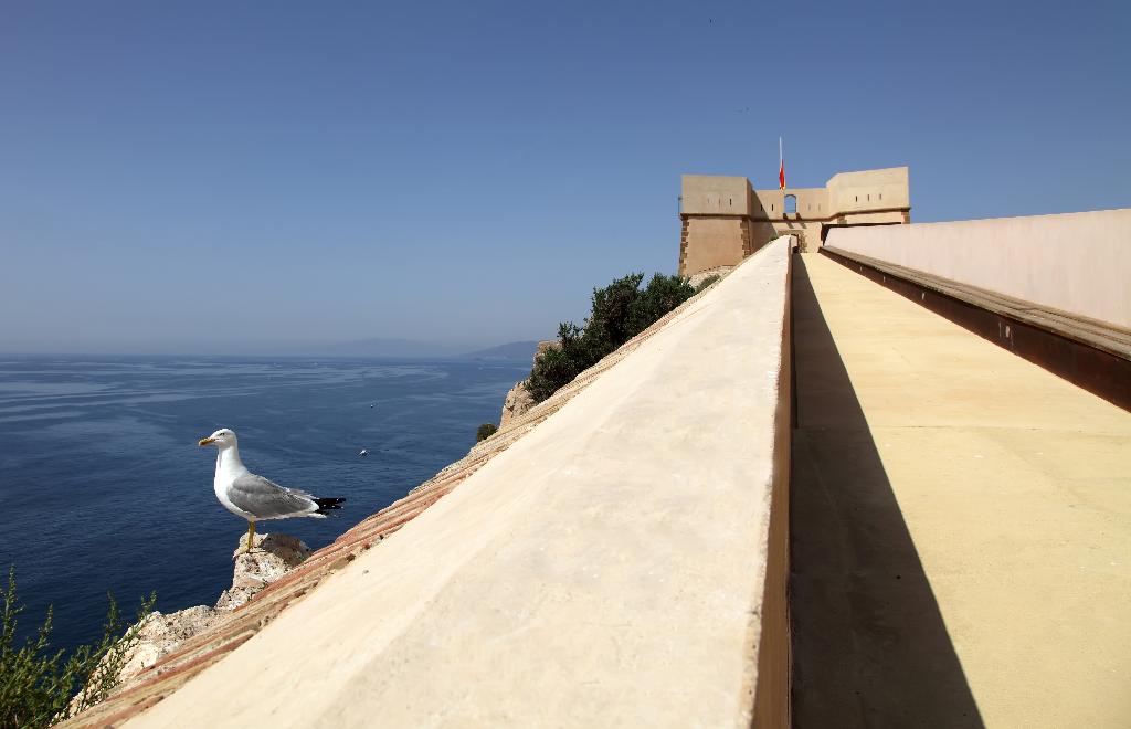 CASTILLO DE SAN JUAN DE LAS GUILAS