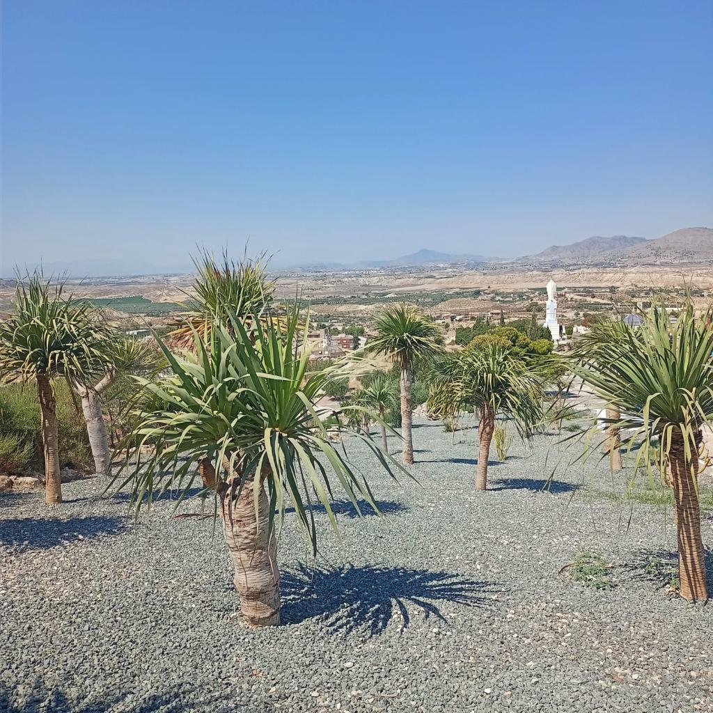 ARAB CASTLE REMAINS