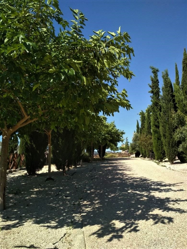 PARQUE ARQUEOLGICO DEL MOLINETE