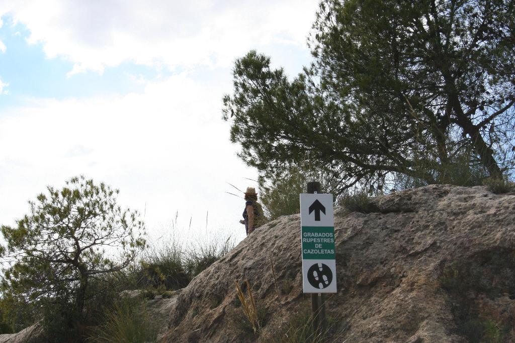 PINTURAS Y GRABADOS RUPESTRES. SIERRA DE LA PEDRERA 