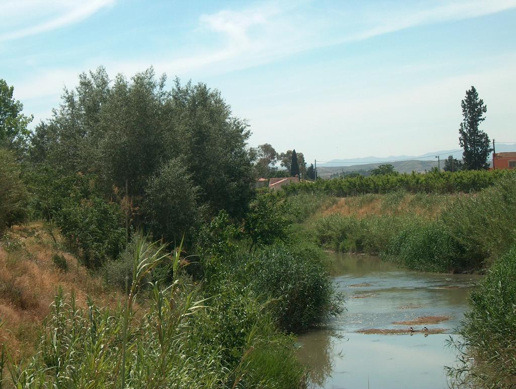 SOTO DE LA HIJUELA