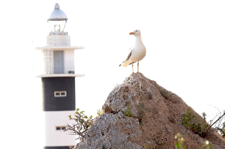 FARO DE PUNTA NEGRA