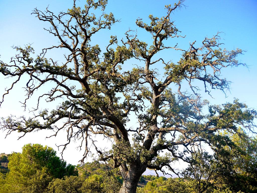 SENDERO BOTNICO Y DE APROVECHAMIENTO DEL AGUA 