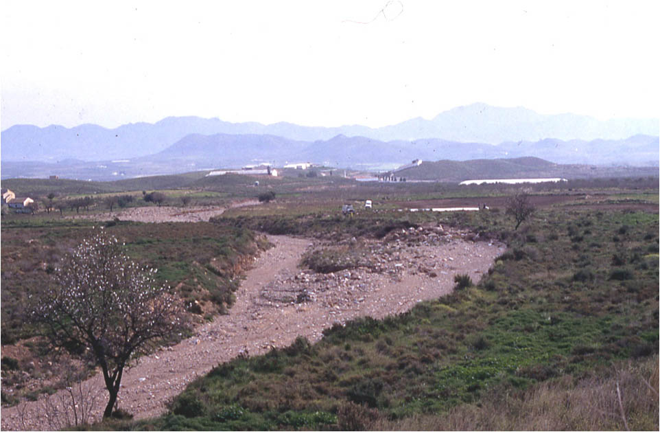 YACIMIENTO ARQUEOLGICO EL RINCN DE ALMENDRICOS