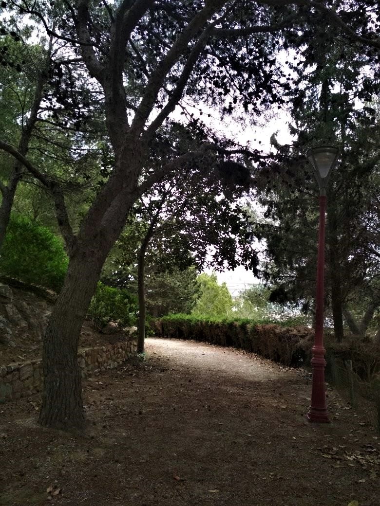 PARC TORRES - POINT DE VUE DE LA COLLINE DE LA CONCEPTION