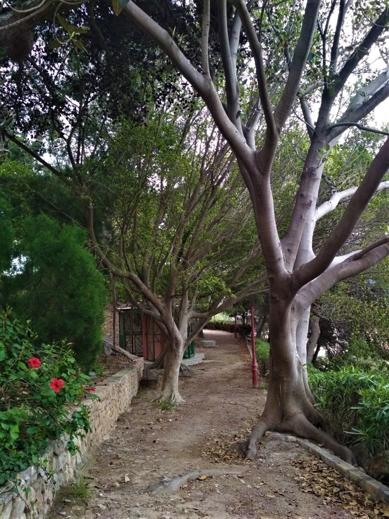 TORRES PARK - COLINA DE LA CONCEPCIN VIEWPOINT