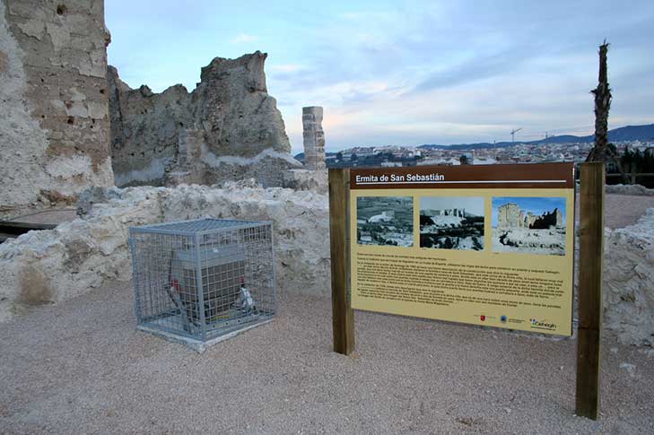 RUINAS DE LA ERMITA DE SAN SEBASTIN. MIRADOR