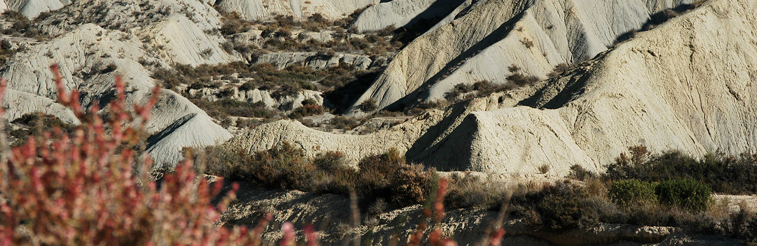 PAISAJE LUNAR