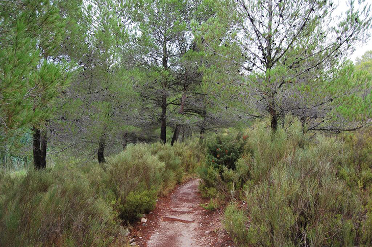 PARAJE HMEDO FUENTE CAPUTA