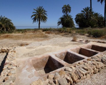 EL ALAMILLO-WASSERBECKEN