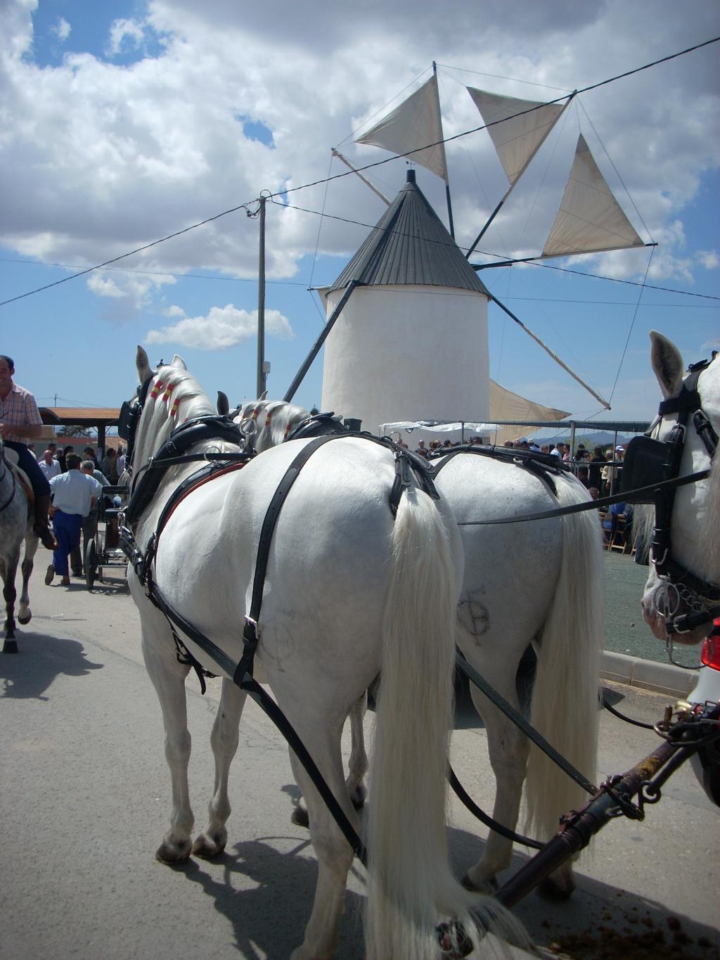 SITE DE EL PASICO 