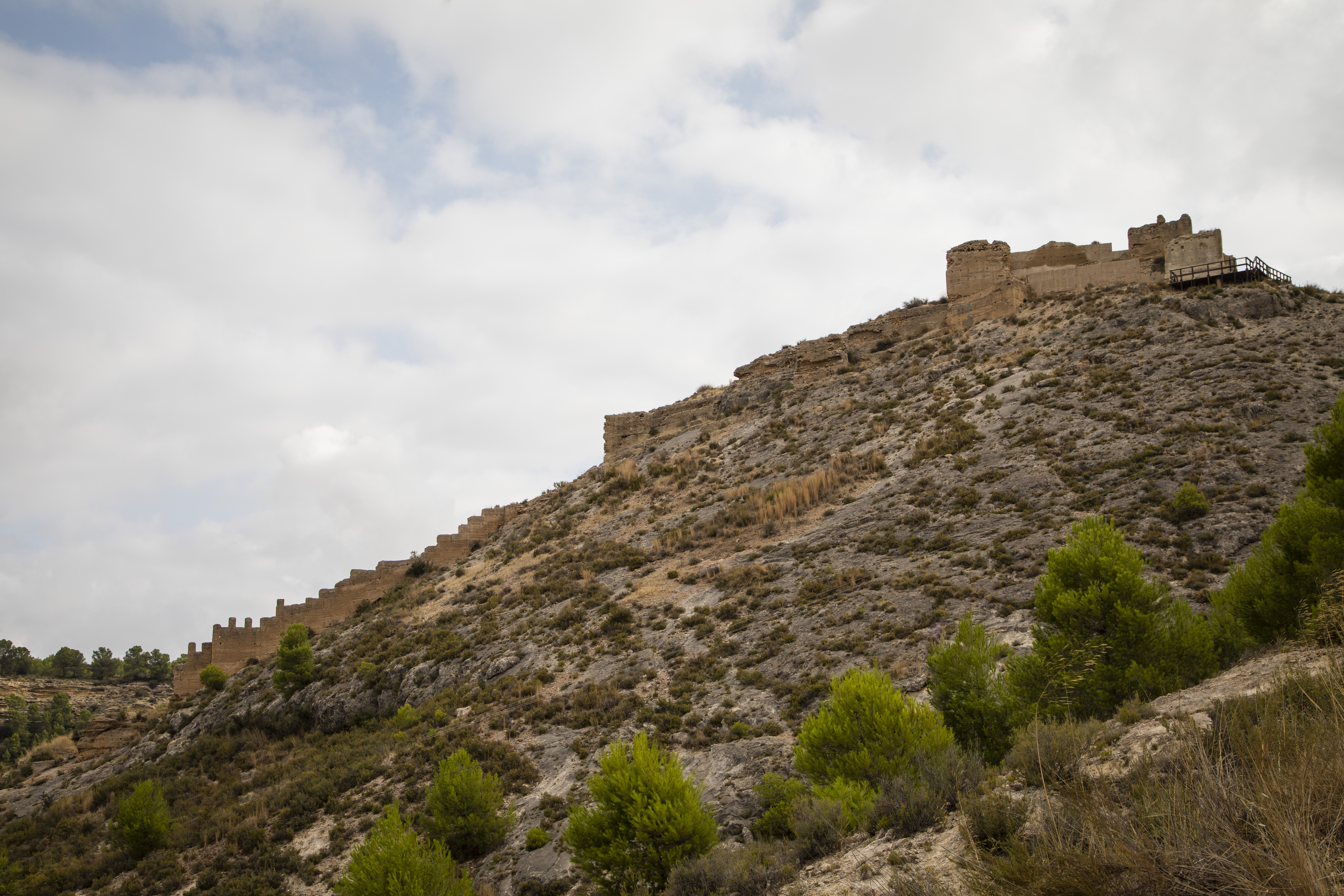 CASTILLO DE PLIEGO