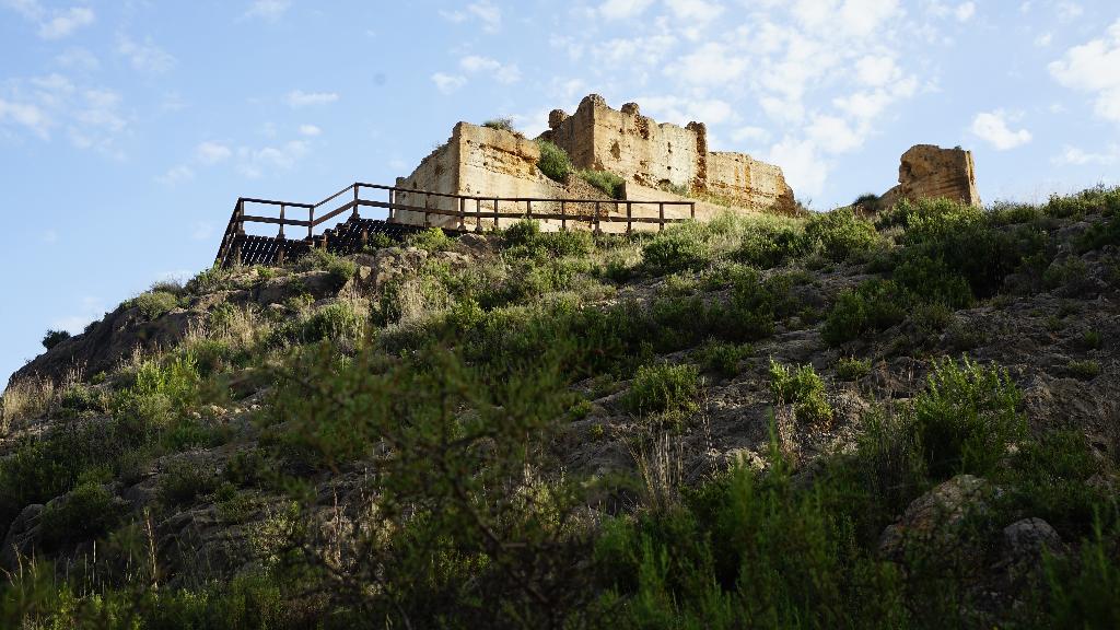 CASTILLO DE PLIEGO