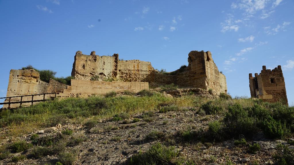 CASTILLO DE PLIEGO