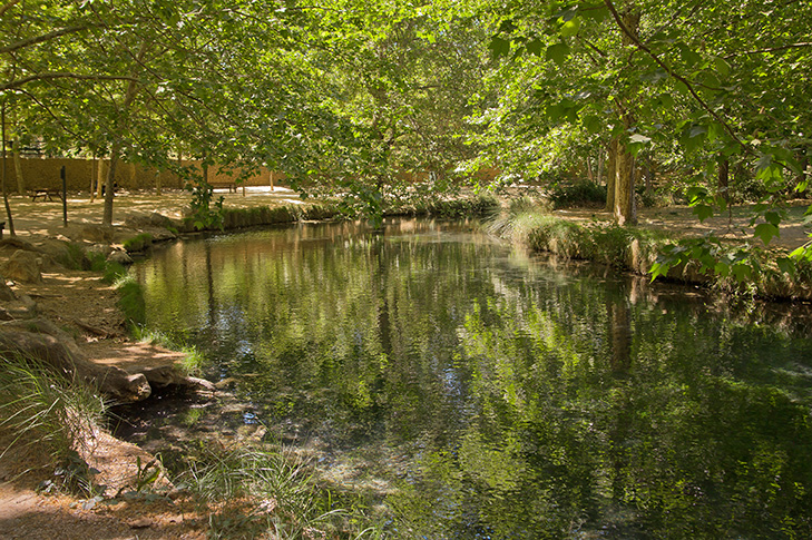 PARAJE NATURAL FUENTES DEL MARQUS