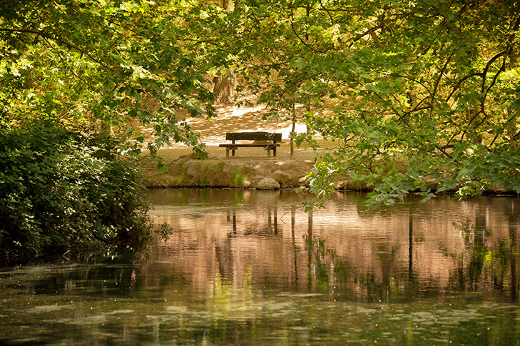 PARAJE NATURAL FUENTES DEL MARQUS