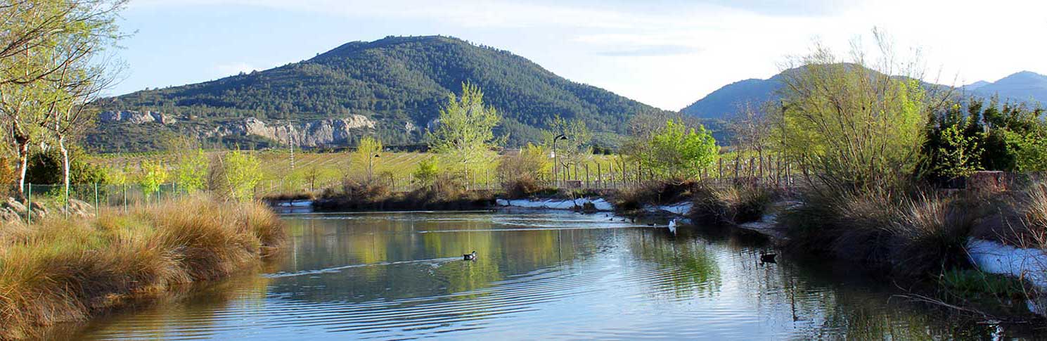 PARAJE DE LA RAFA