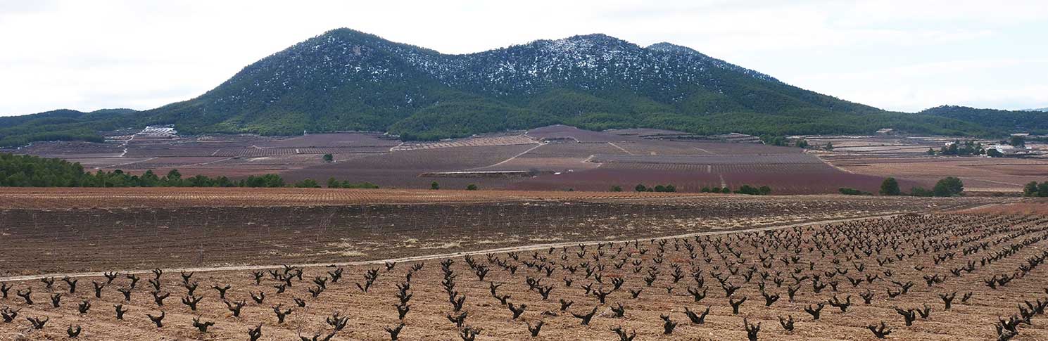 VALLE DEL ACENICHE