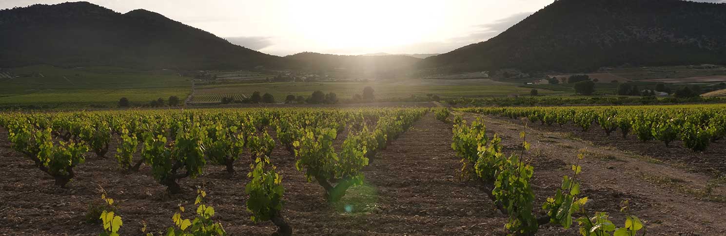 VALLE DEL ACENICHE