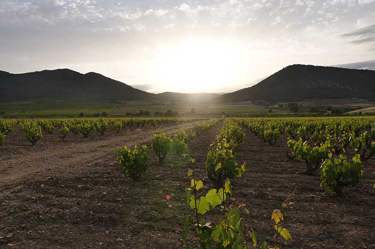 VALLE DEL ACENICHE