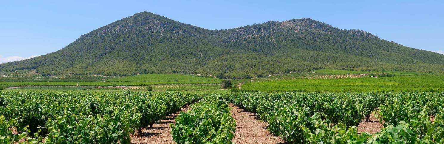 VALLE DEL ACENICHE