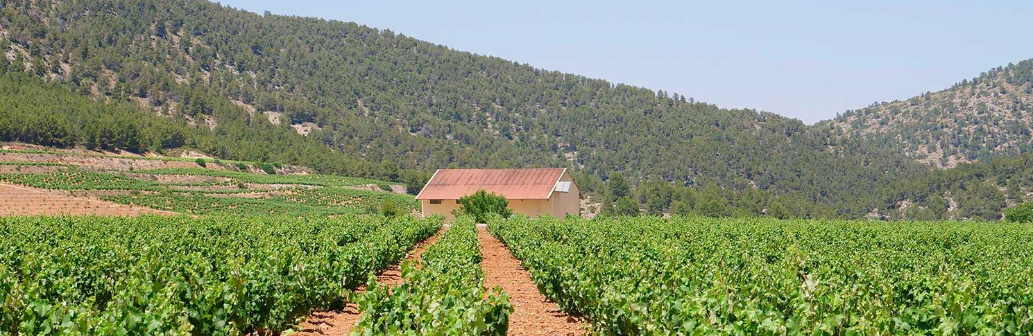 VALLE DEL ACENICHE