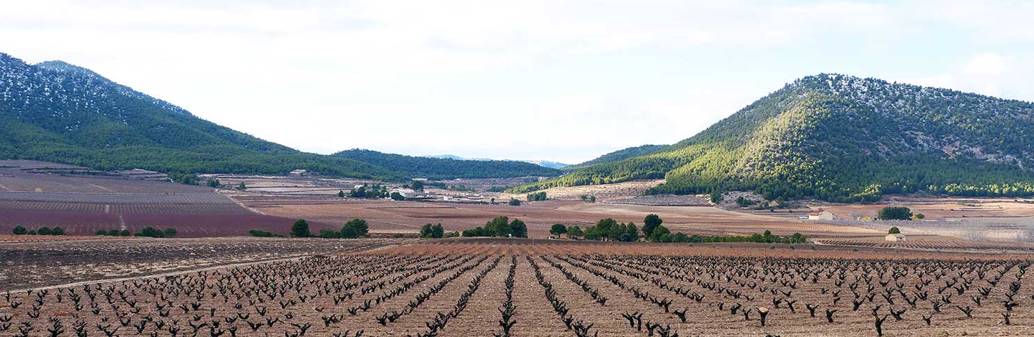 VALLE DEL ACENICHE