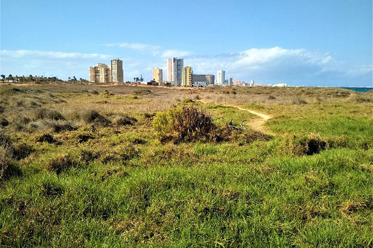 ESPACIO LITORAL DE LAS AMOLADERAS