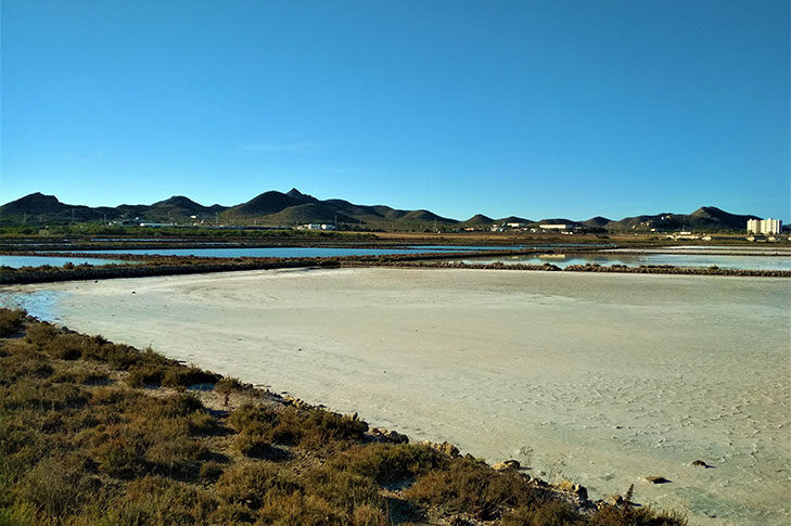 SALINES DE MARCHAMALO