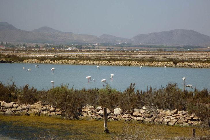 MARCHAMALO SALT FLATS