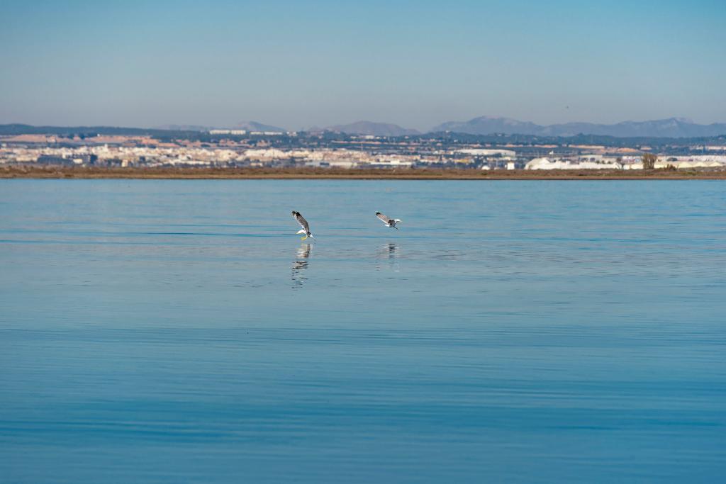 ECOSISTEMA DE LAS SALINAS E INDUSTRIA DE LA SAL