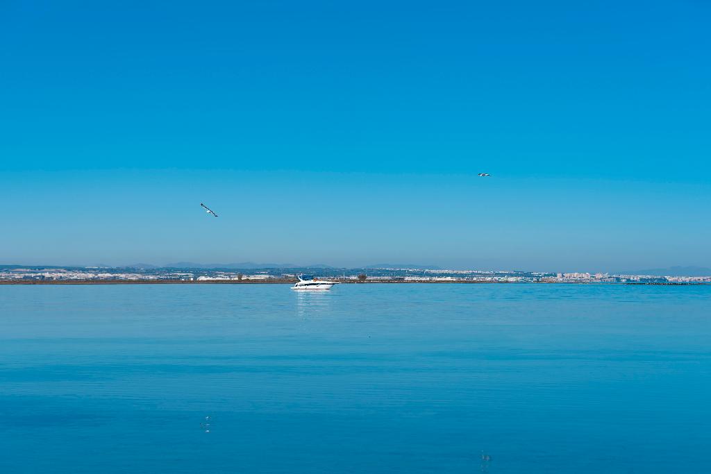 ECOSISTEMA DE LAS SALINAS E INDUSTRIA DE LA SAL