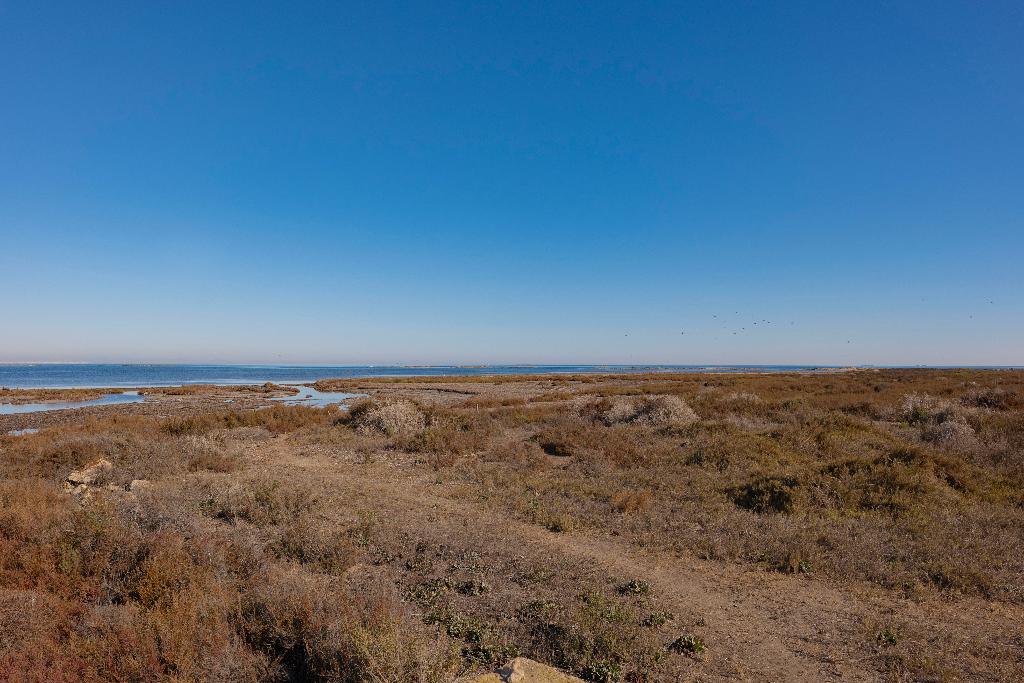 ECOSISTEMA DE LAS SALINAS E INDUSTRIA DE LA SAL