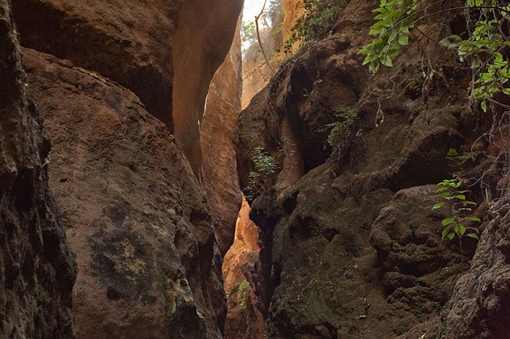 ESTRECHO DE LA ARBOLEJA