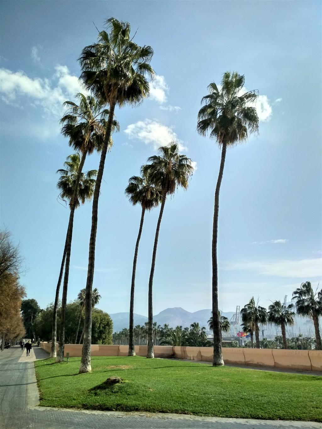 PROMENADE DE LA MURALLA DEL MAR